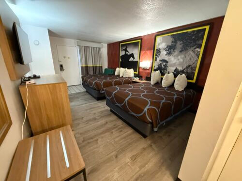 Img 0493